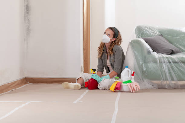 Reliable Black Mold Removal contractor in Millwood, WA by WQB Mold Removal